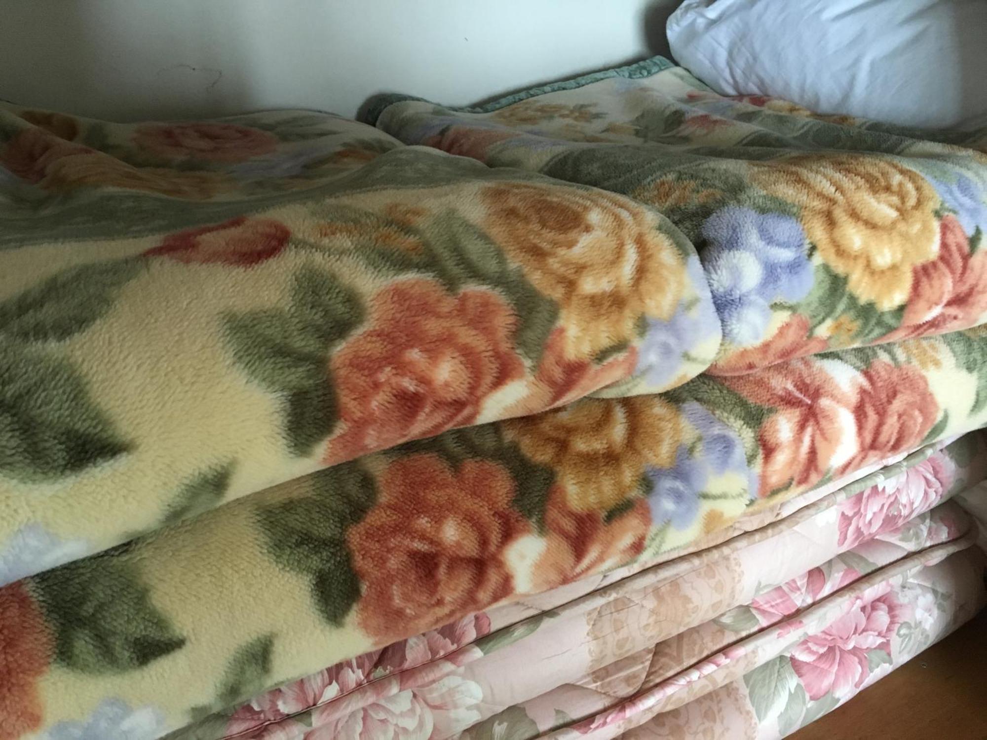 Yamakyuso Otari Quarto foto